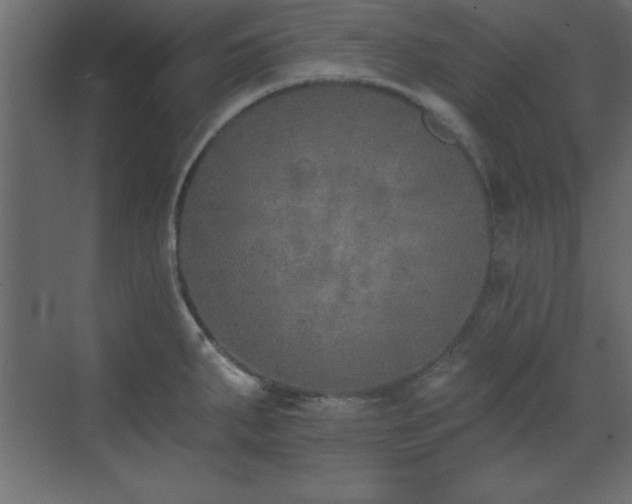 X0000073481287200607311151