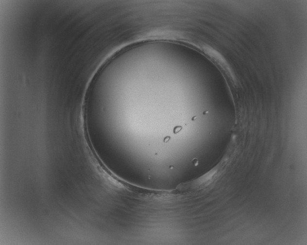 X0000073481288200607311151