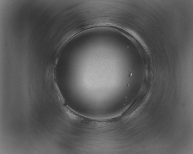 X0000073481289200607311151