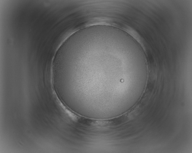 X0000073481290200607311151