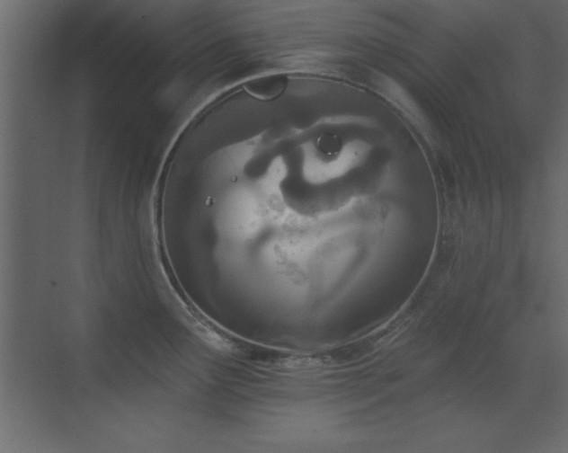 X0000073481291200607311151