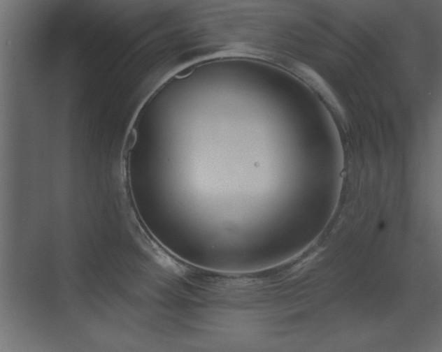 X0000073481292200607311151