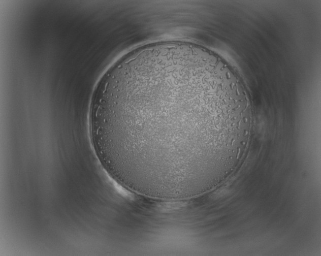 X0000073481294200607311151