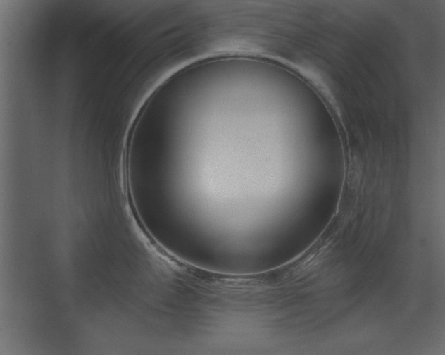 X0000073481295200607311151