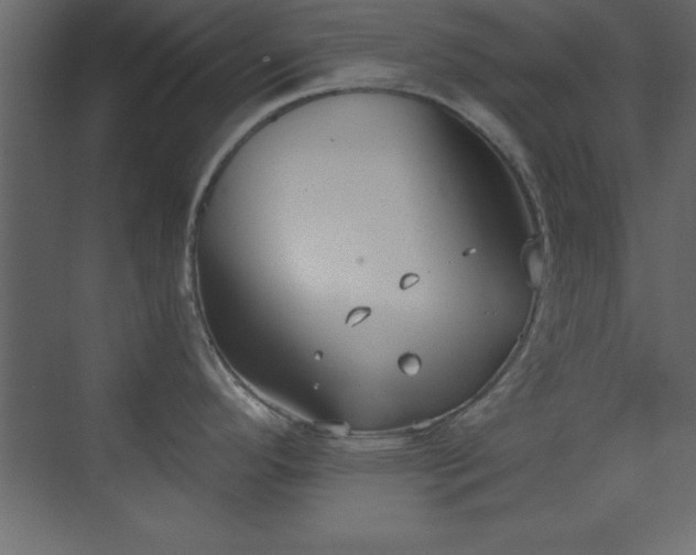 X0000073481296200607311151