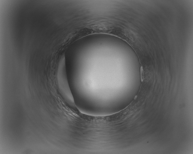 X0000073481297200607311150