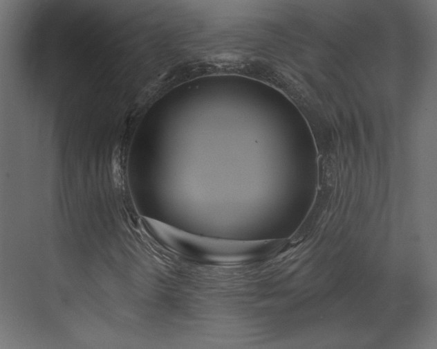 X0000073481298200607311150