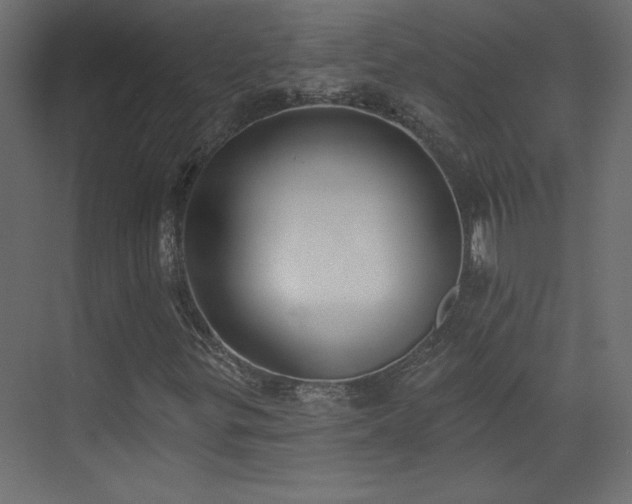 X0000073481299200607311150