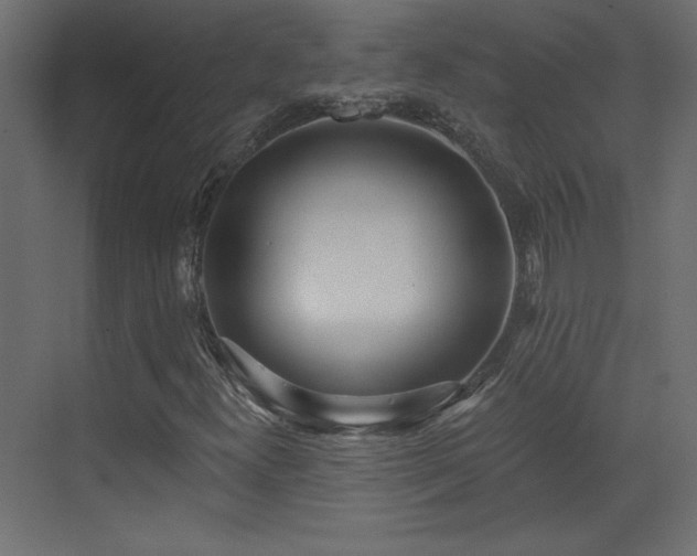 X0000073481300200607311150