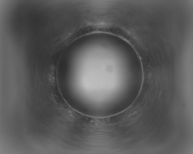 X0000073481301200607311150