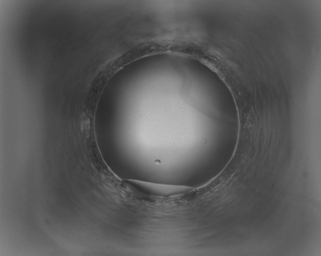 X0000073481302200607311150