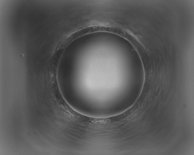 X0000073481303200607311150