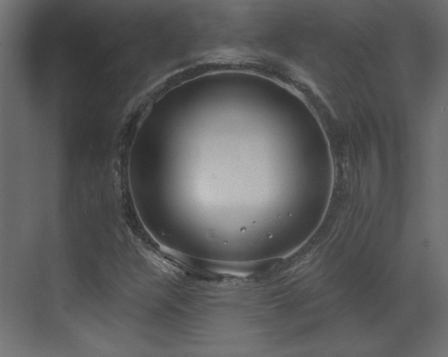 X0000073481304200607311150