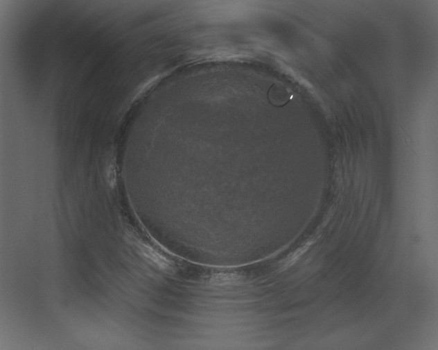 X0000073481306200607311150