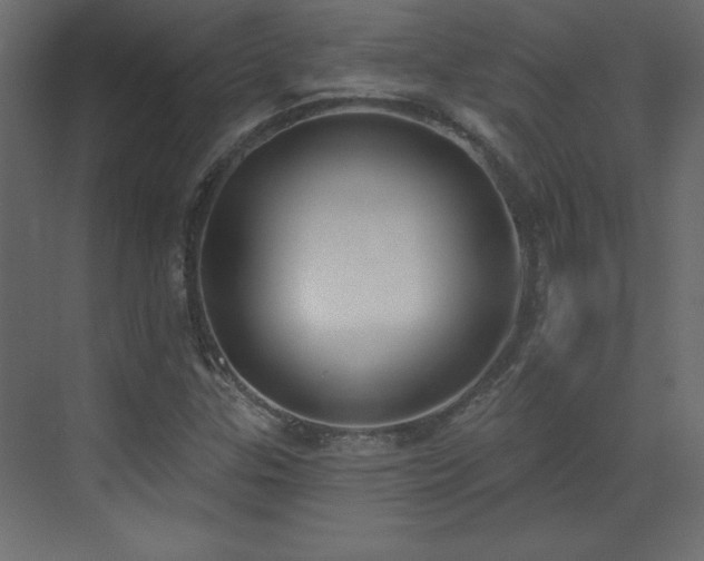 X0000073481307200607311150