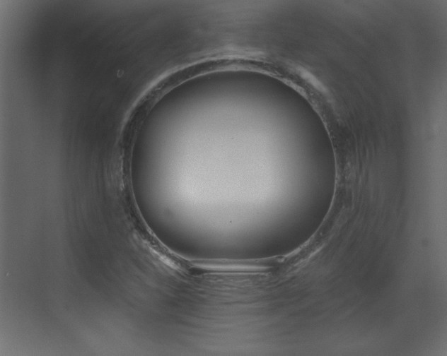 X0000073481310200607311150