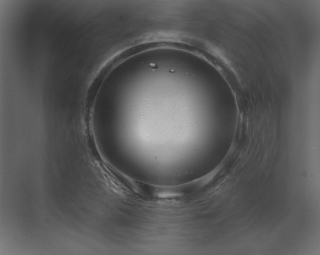 X0000073481312200607311150