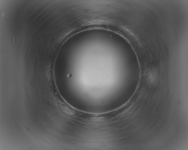 X0000073481313200607311150