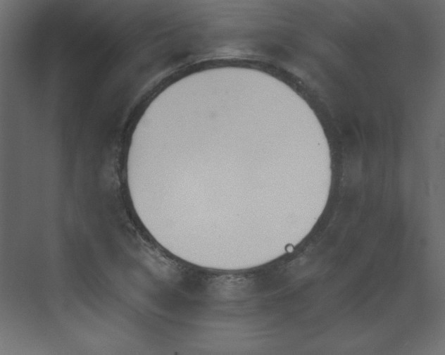 X0000073481314200607311150