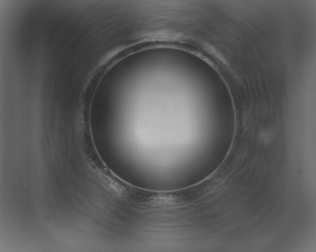 X0000073481315200607311150