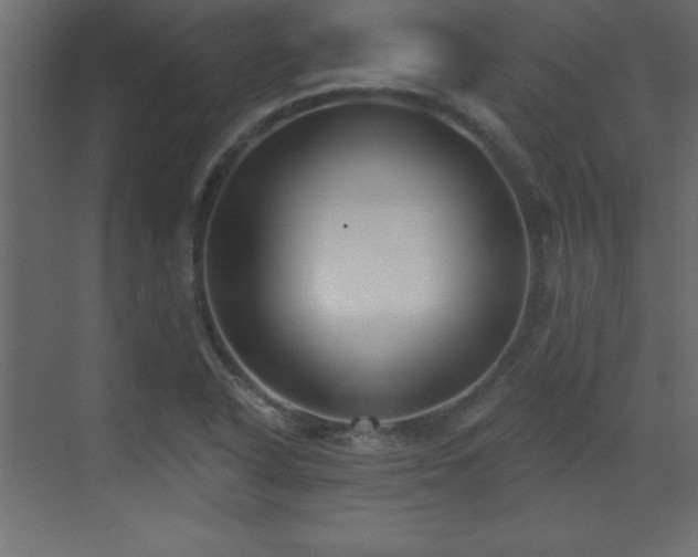 X0000073481318200607311150