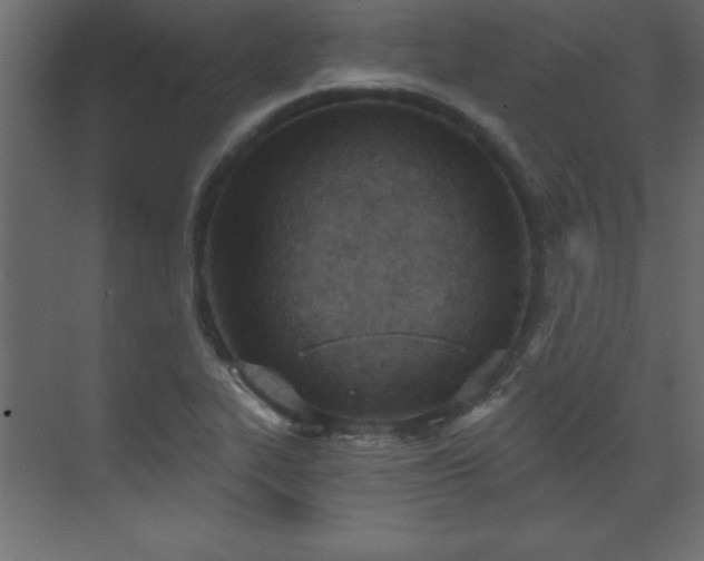 X0000073481319200607311150