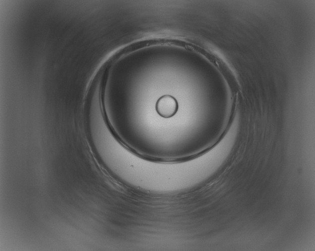 X0000073481320200607311150