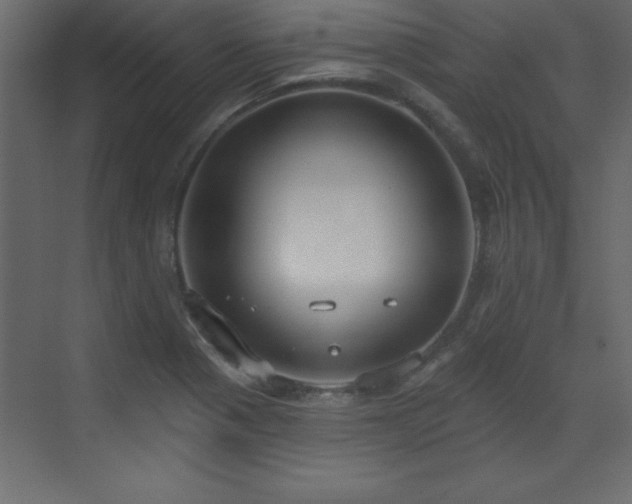 X0000073481321200607311150