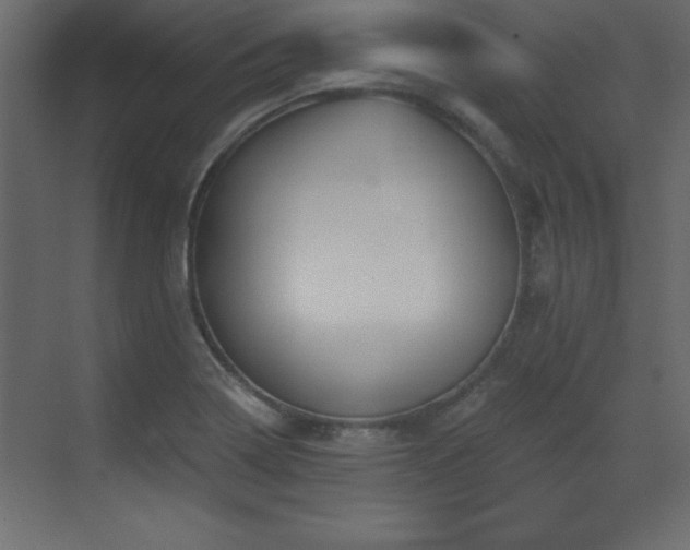 X0000073481322200607311150