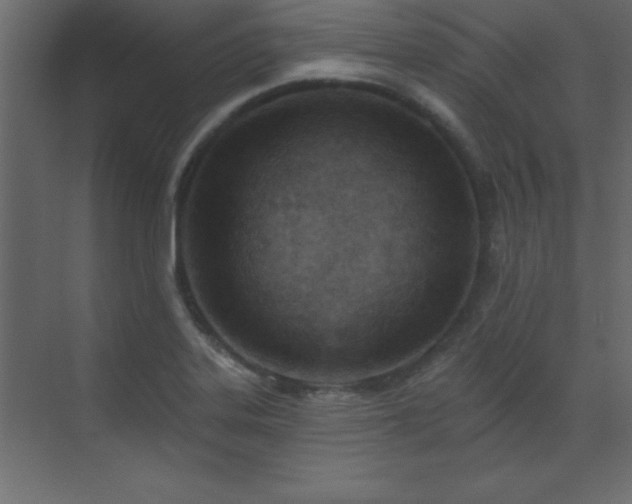 X0000073481323200607311150