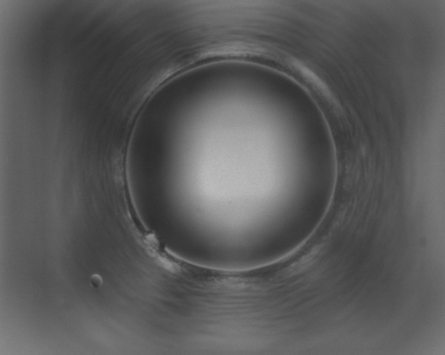 X0000073481329200607311150