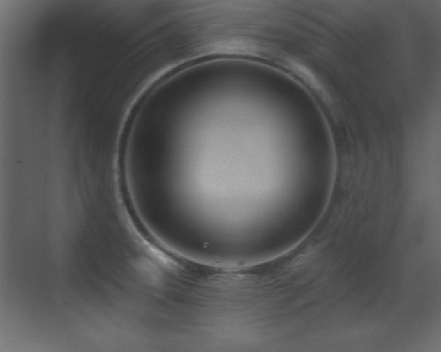 X0000073481331200607311150