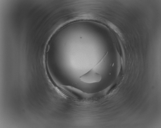 X0000073481334200607311150