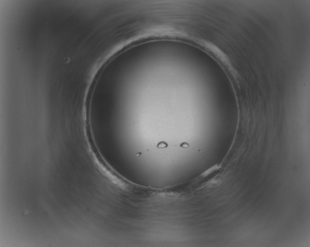 X0000073481335200607311150