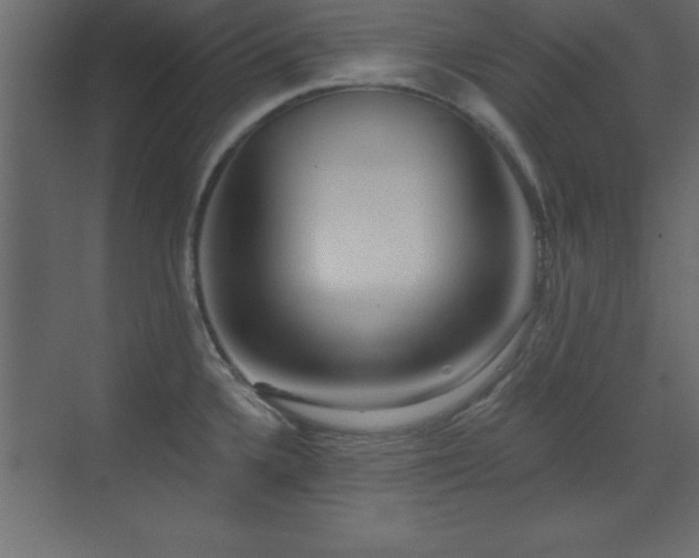 X0000073481336200607311150