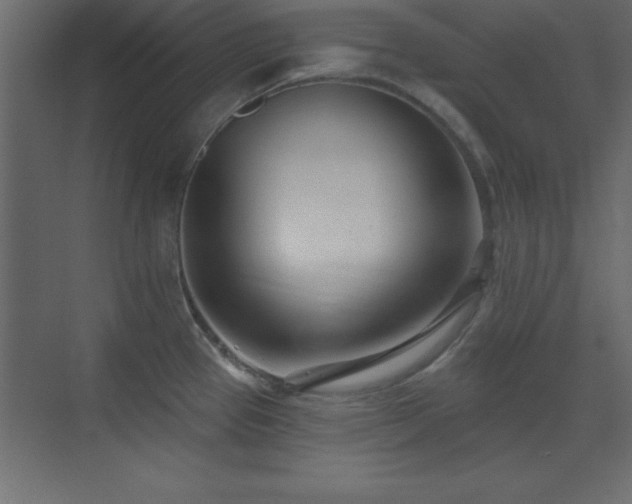 X0000073481337200607311150