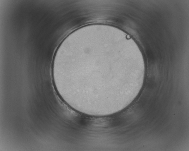 X0000073481338200607311150