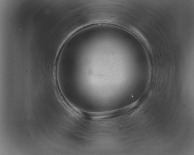 X0000073481340200607311151