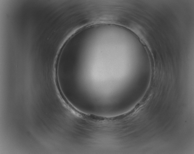 X0000073481341200607311151