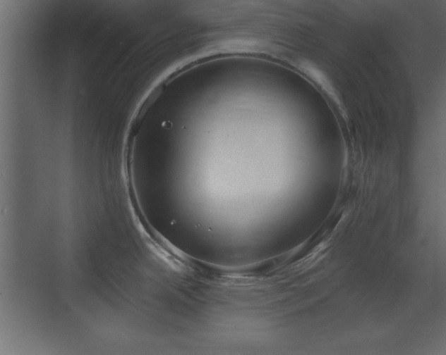 X0000073481342200607311151