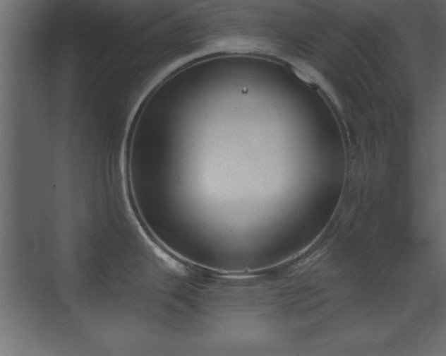 X0000073481343200607311151