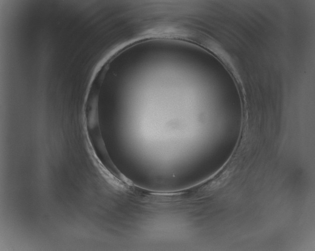 X0000073481344200607311151