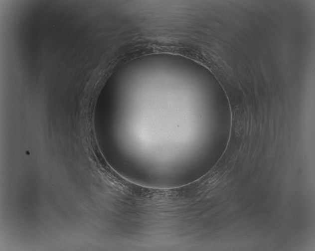 X0000073481345200607311150