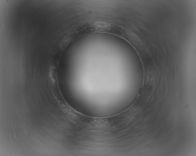 X0000073481346200607311150