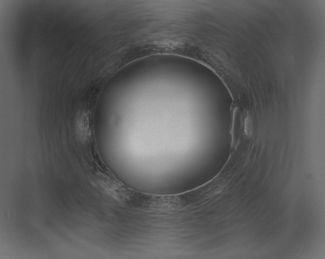 X0000073481347200607311150