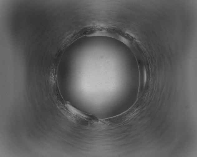 X0000073481348200607311150