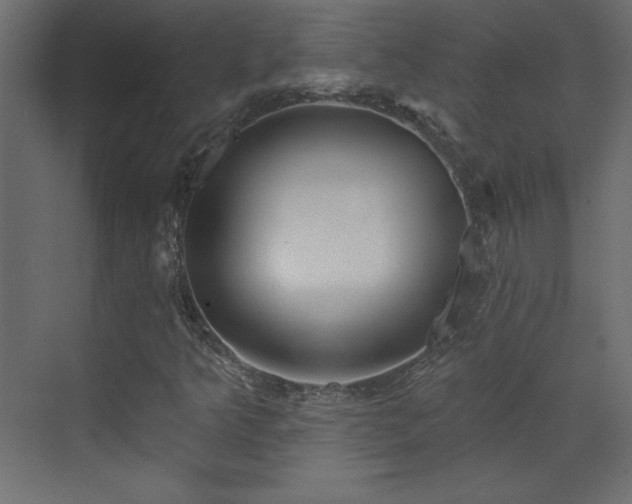 X0000073481349200607311150