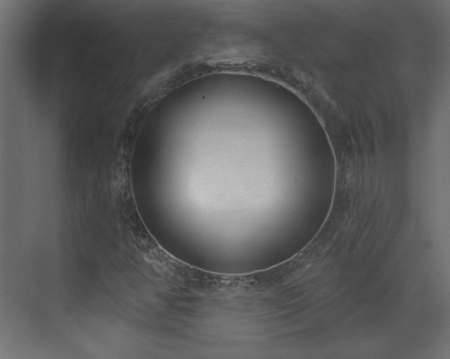 X0000073481350200607311150