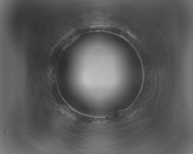 X0000073481351200607311150