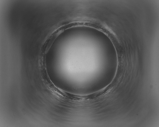 X0000073481352200607311150